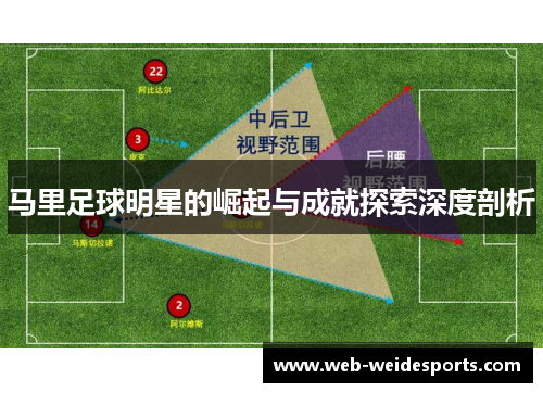 马里足球明星的崛起与成就探索深度剖析